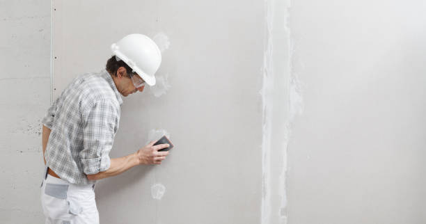 Best Drywall Crack Repair  in Slayton, MN